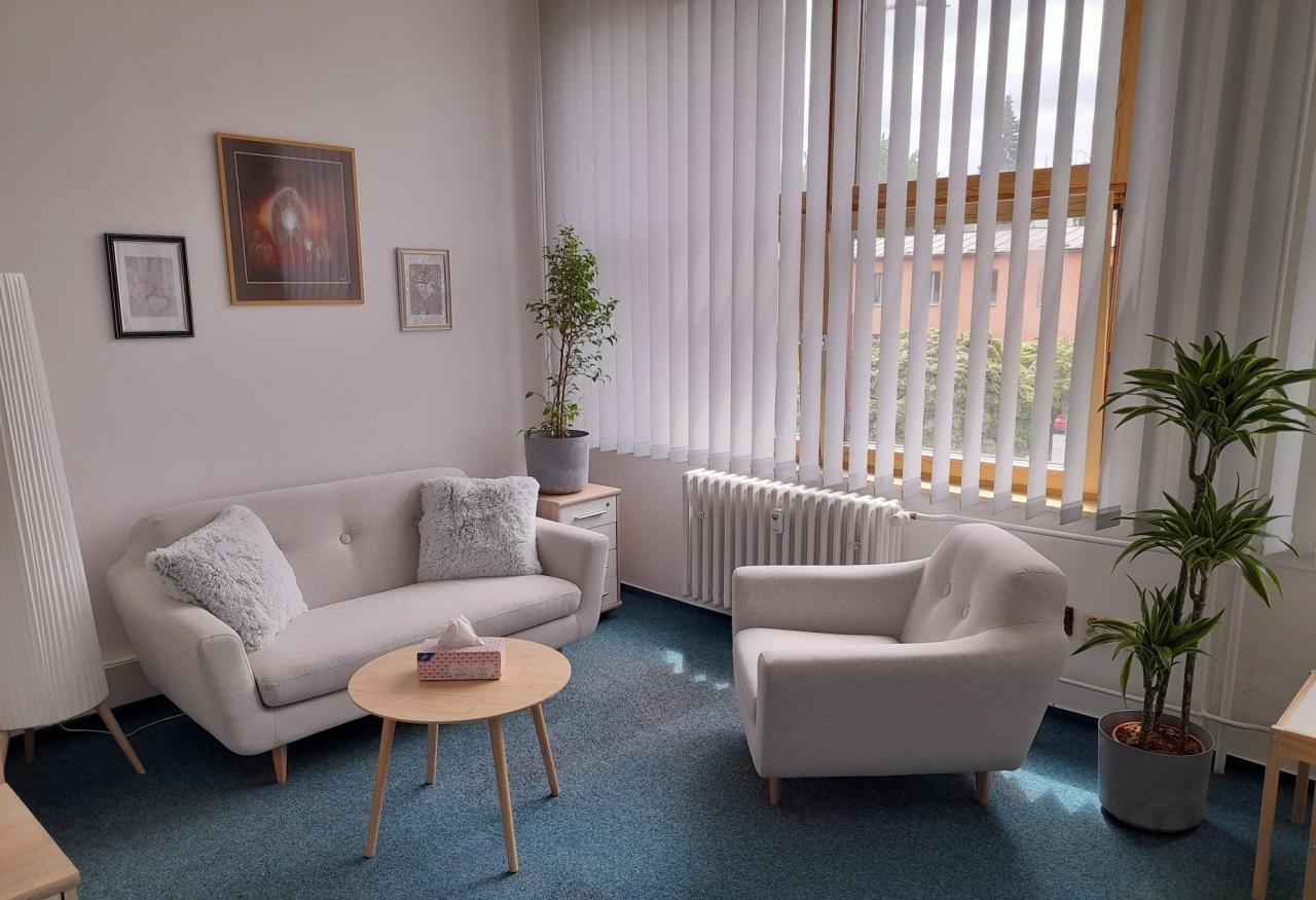 obrázek ke článku