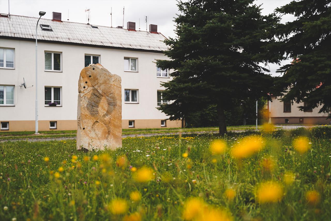 obrázek ke článku