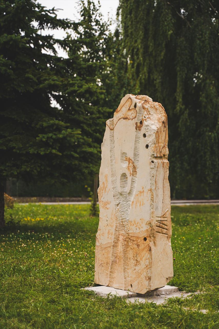 Úvodní fotografie ke článku