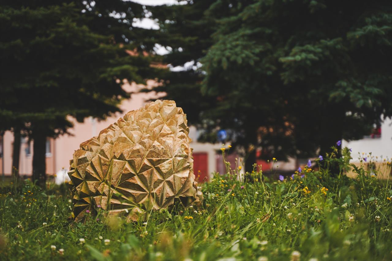 obrázek ke článku