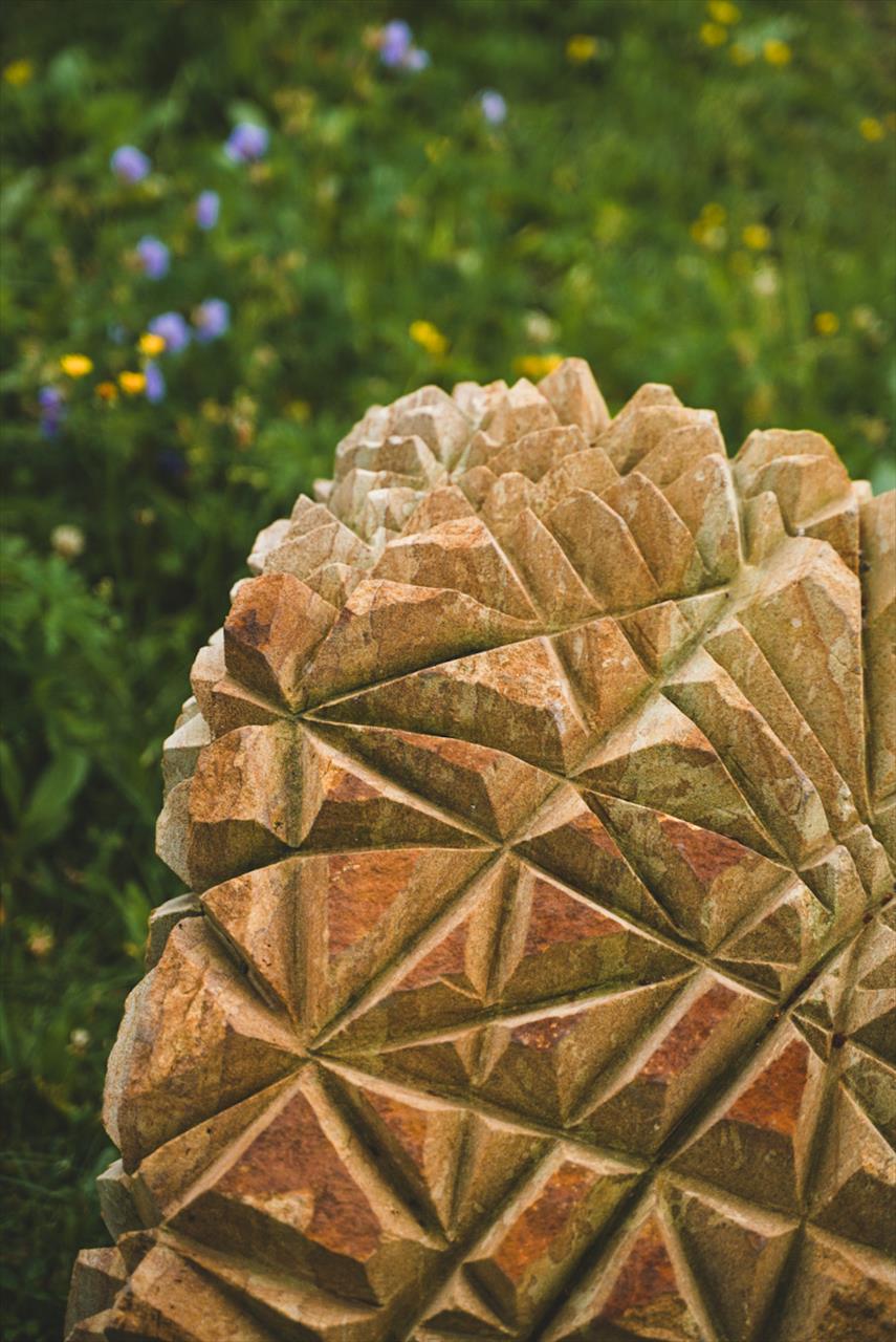 obrázek ke článku