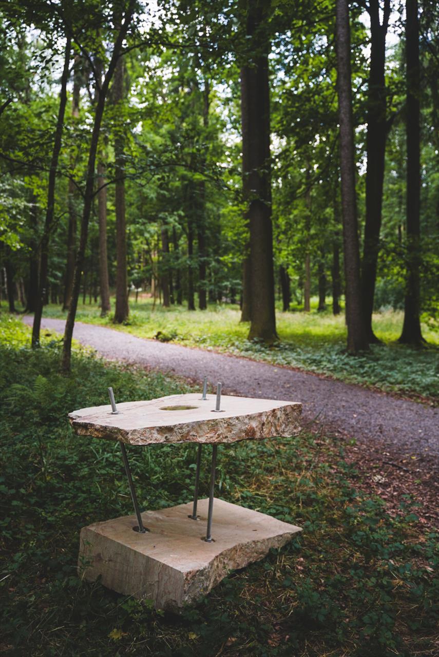 obrázek ke článku