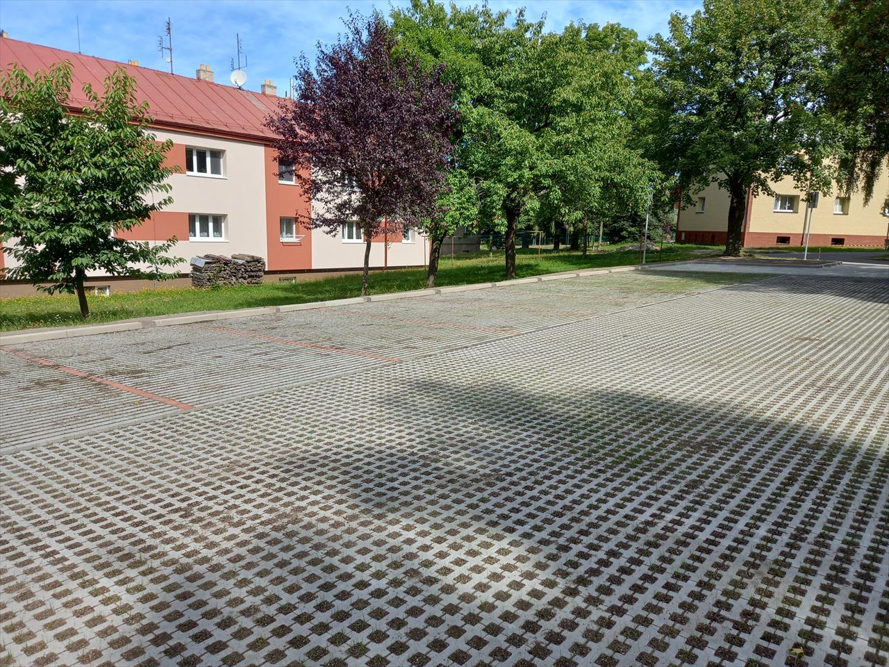 obrázek ke článku