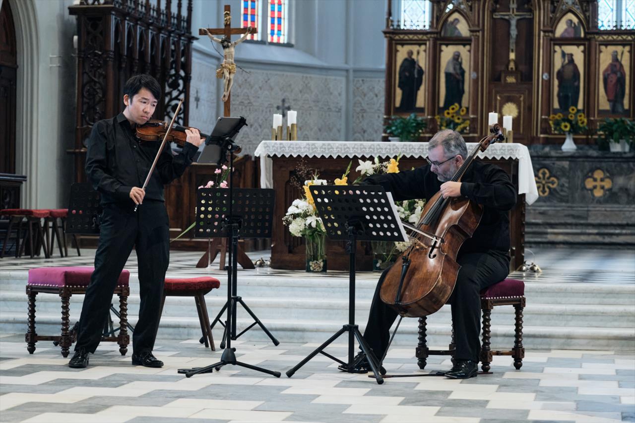 obrázek ke článku