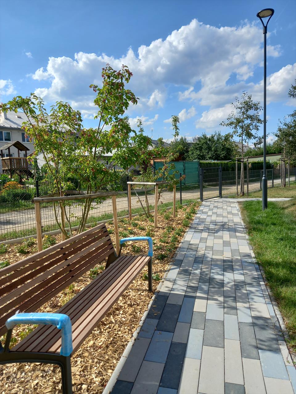 obrázek ke článku