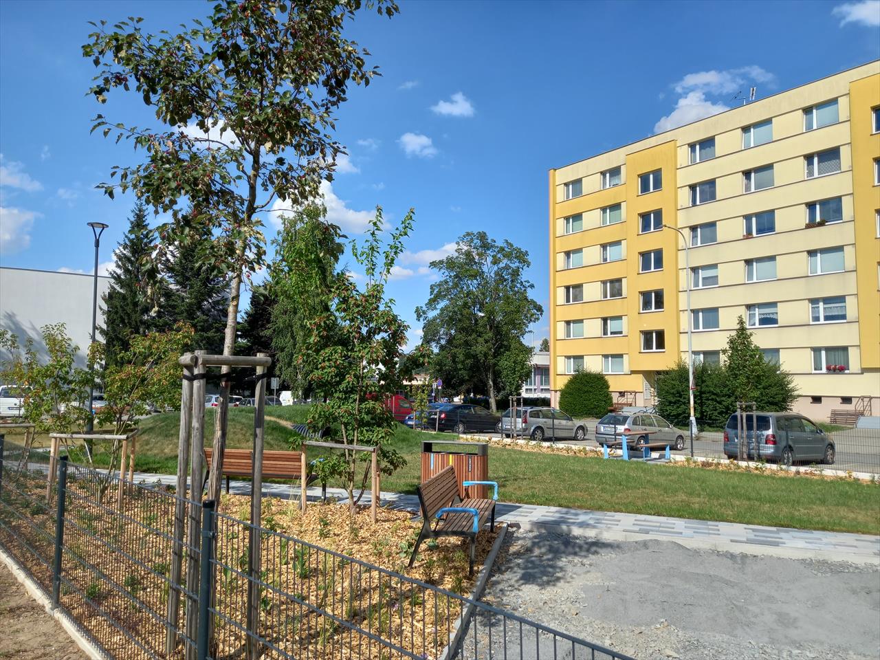 obrázek ke článku