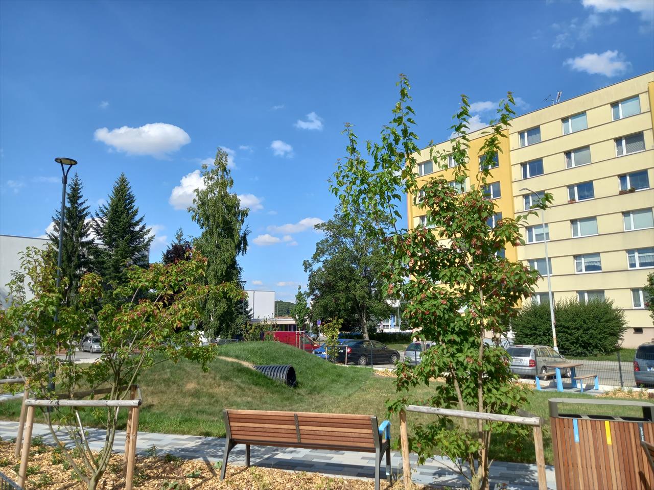 obrázek ke článku