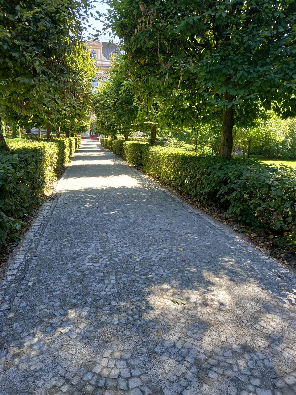 obrázek ke článku