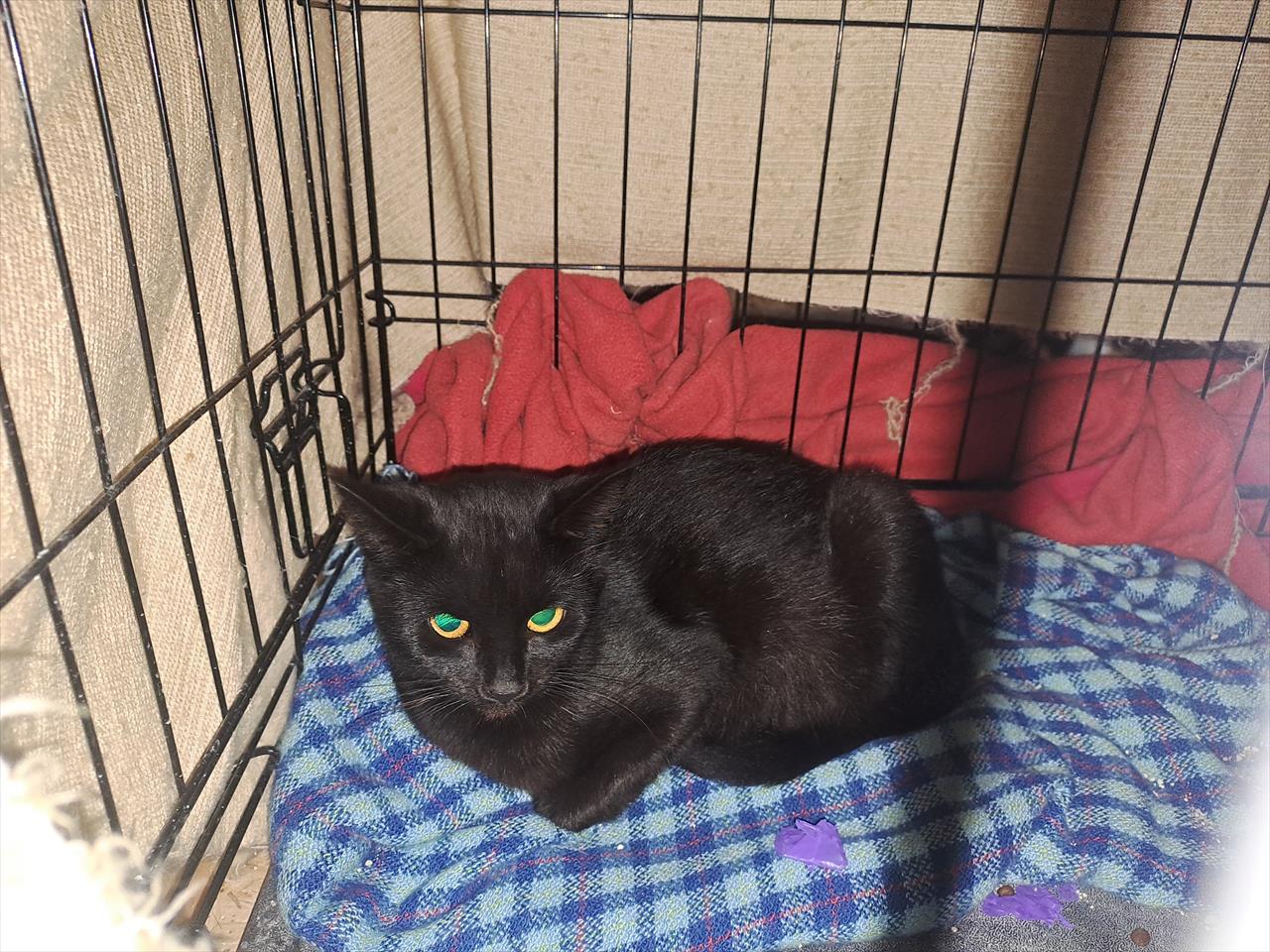 Úvodní fotografie ke článku