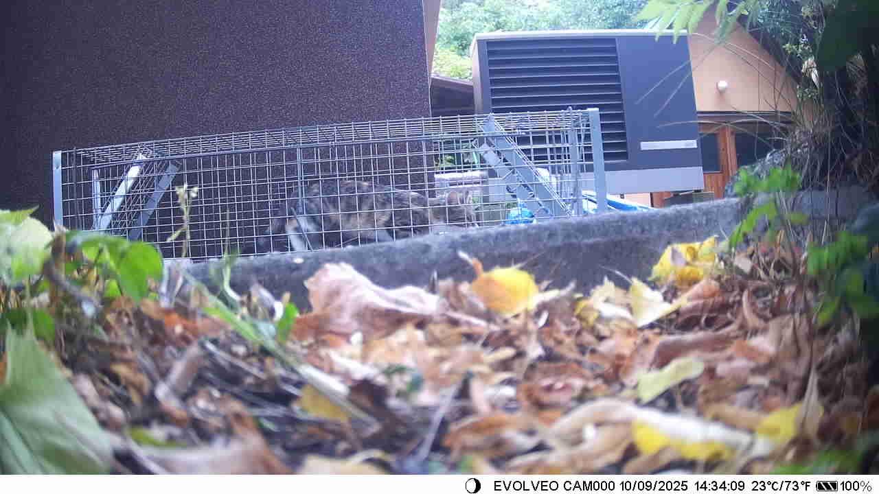 Úvodní fotografie ke článku