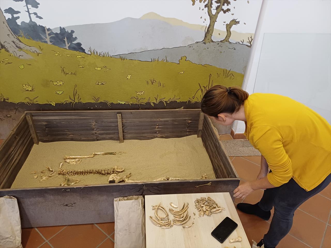 Úvodní fotografie ke článku