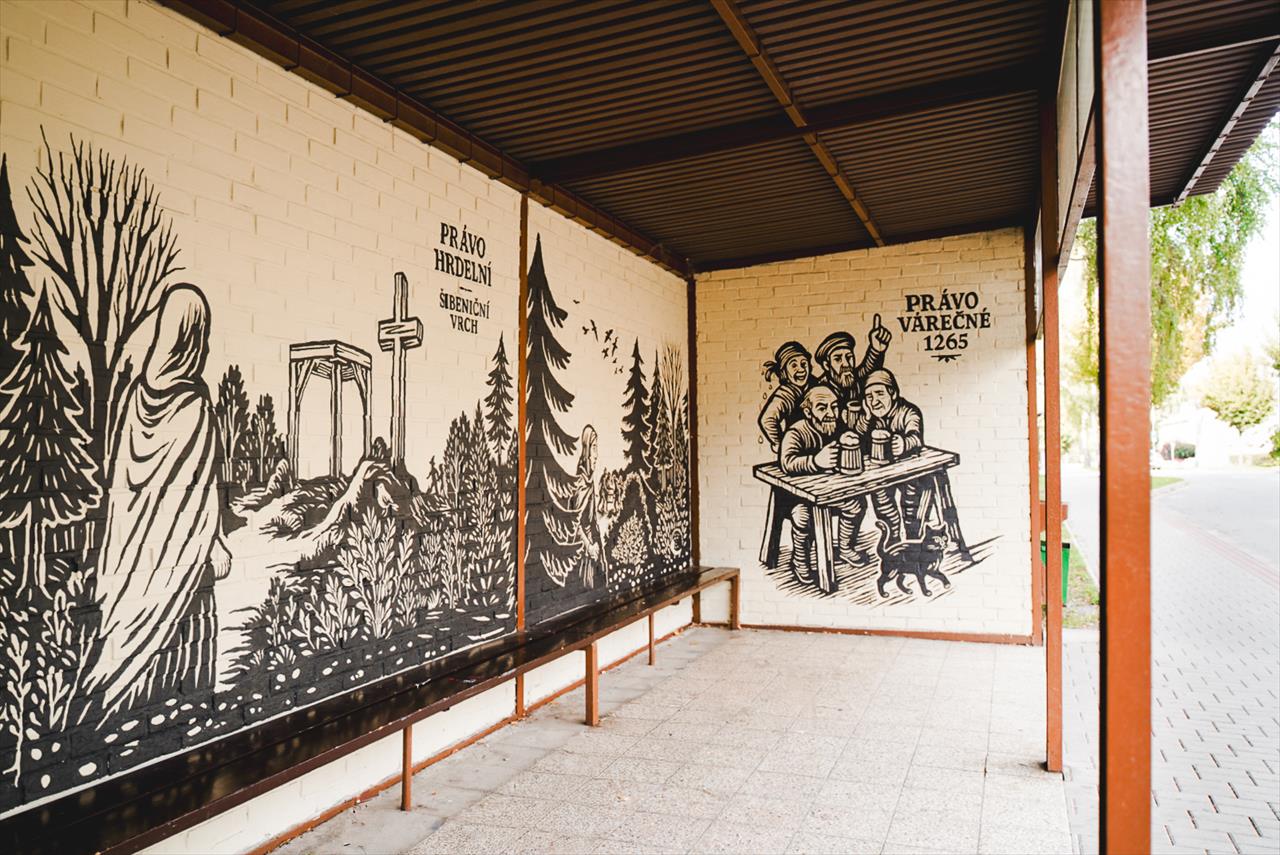 obrázek ke článku