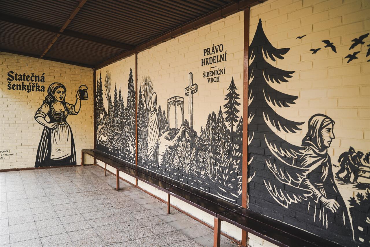 obrázek ke článku