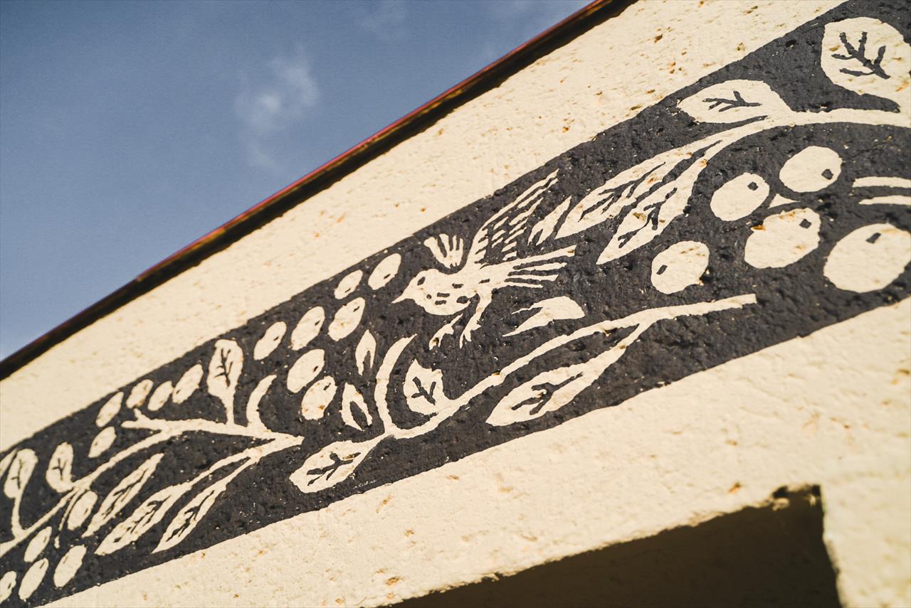 obrázek ke článku