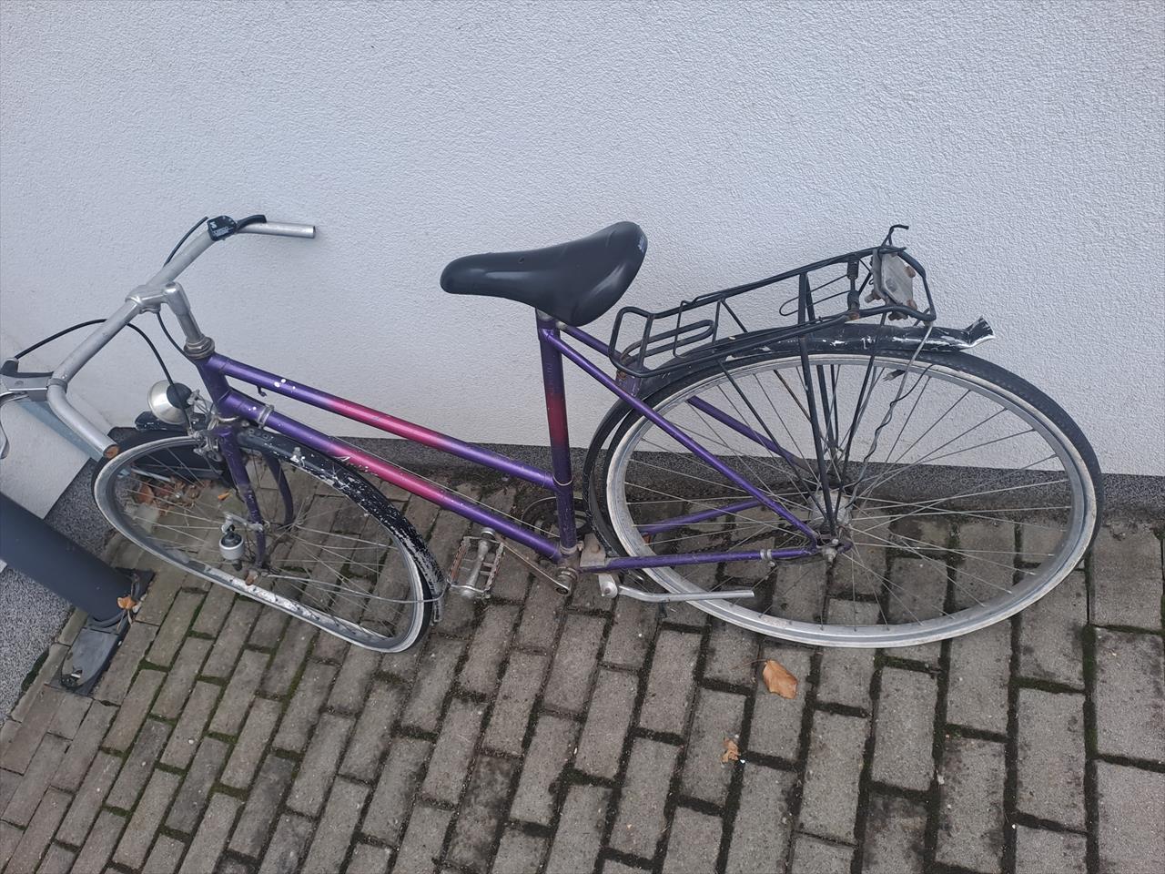 obrázek ke článku