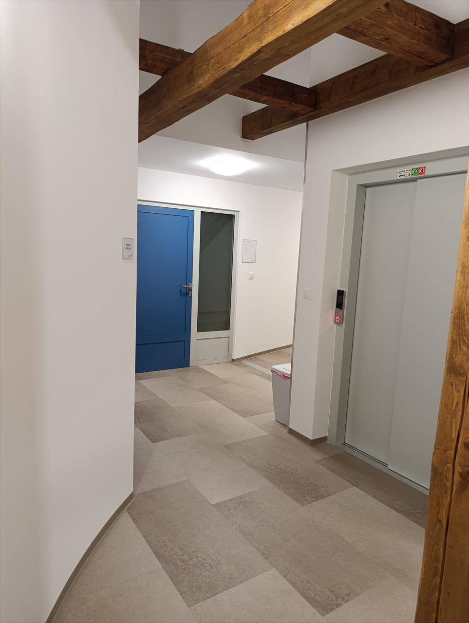 Úvodní fotografie ke článku