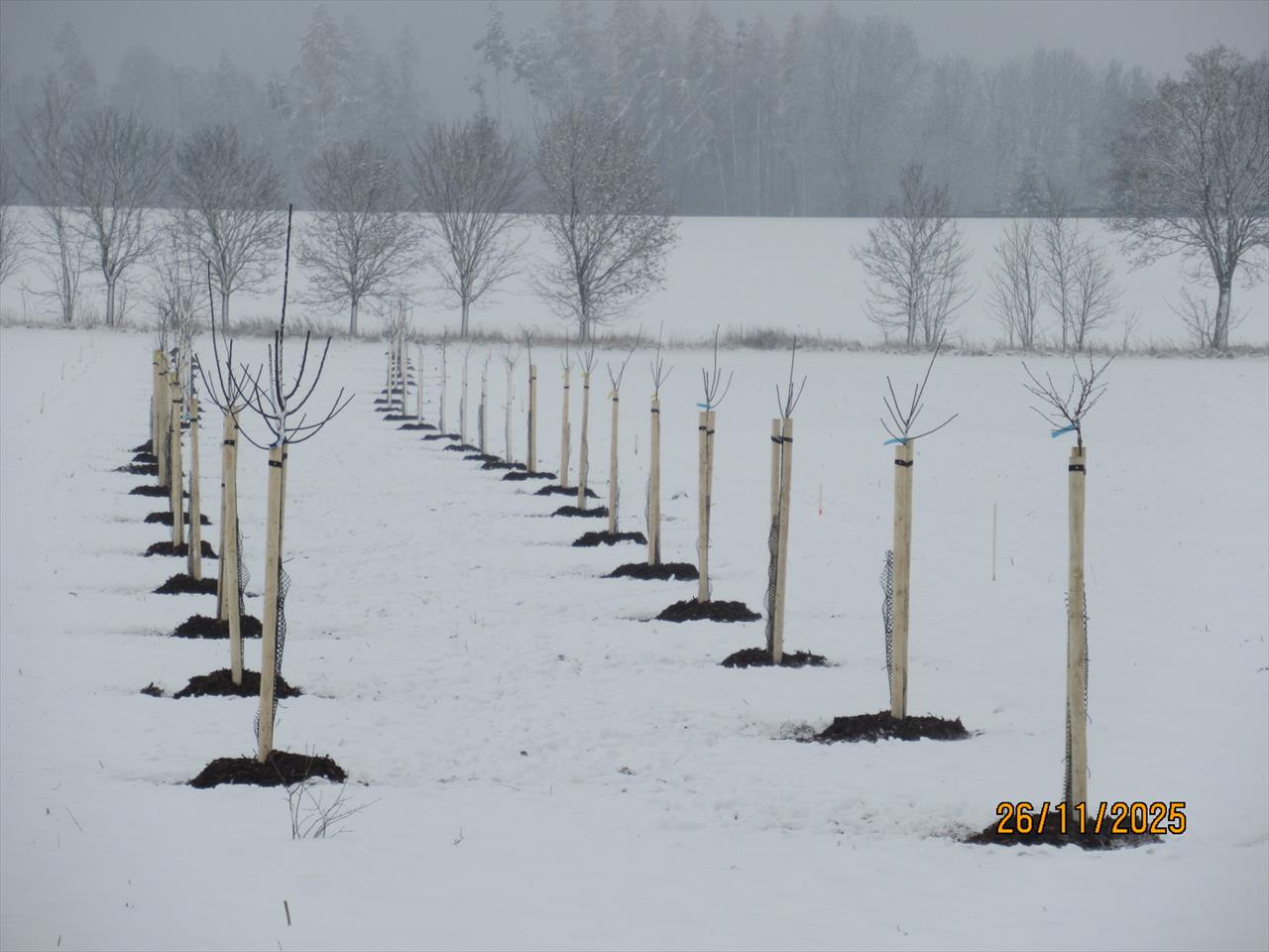 Úvodní fotografie ke článku