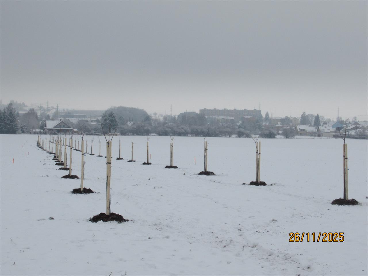 obrázek ke článku