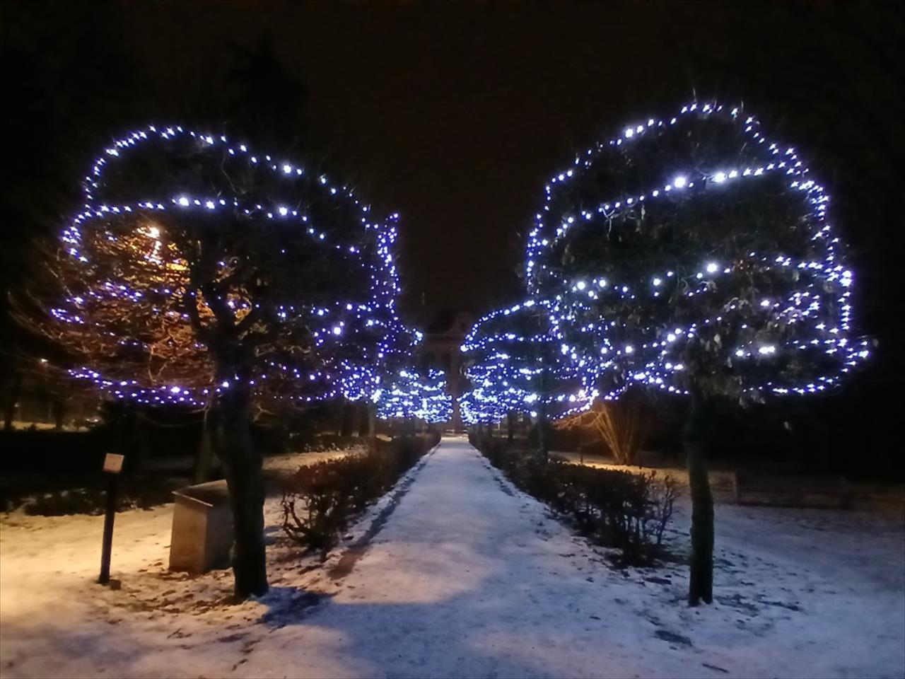 obrázek ke článku