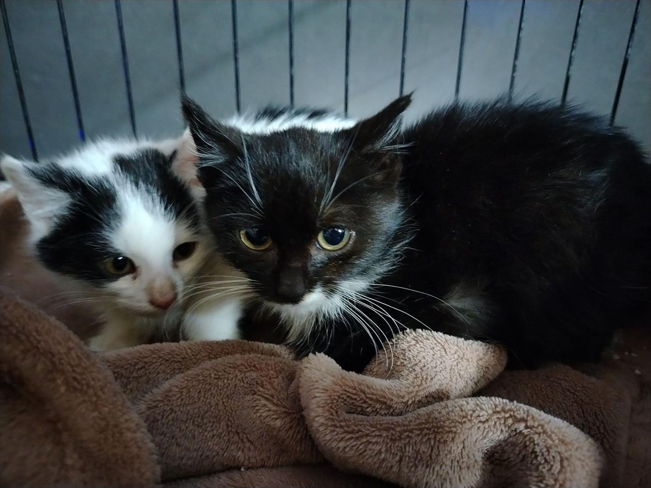 Úvodní fotografie ke článku