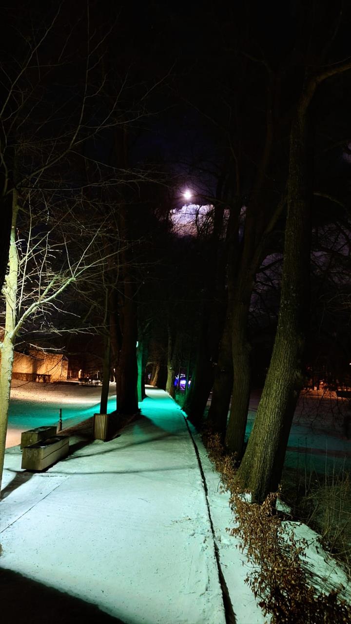 obrázek ke článku