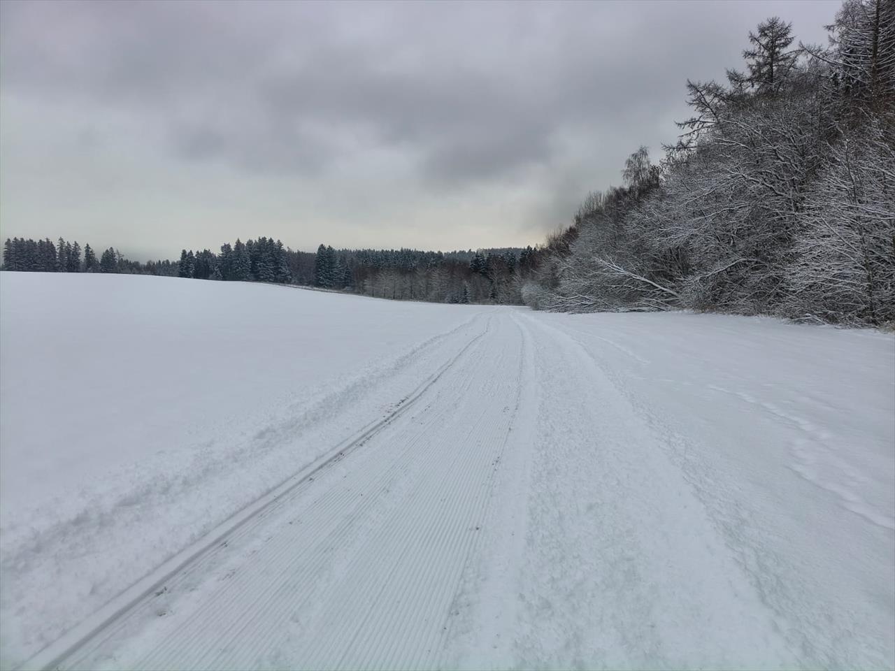 obrázek ke článku