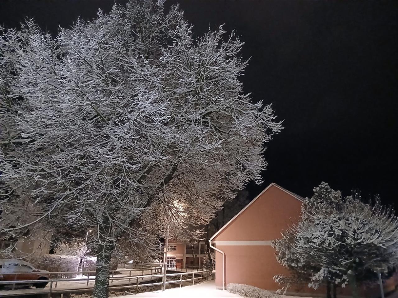 obrázek ke článku