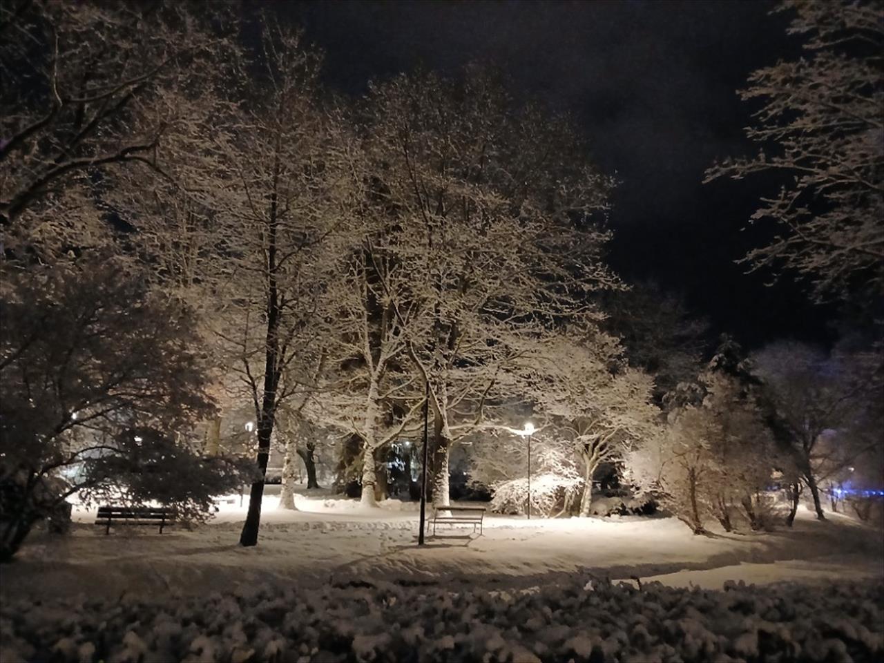 obrázek ke článku