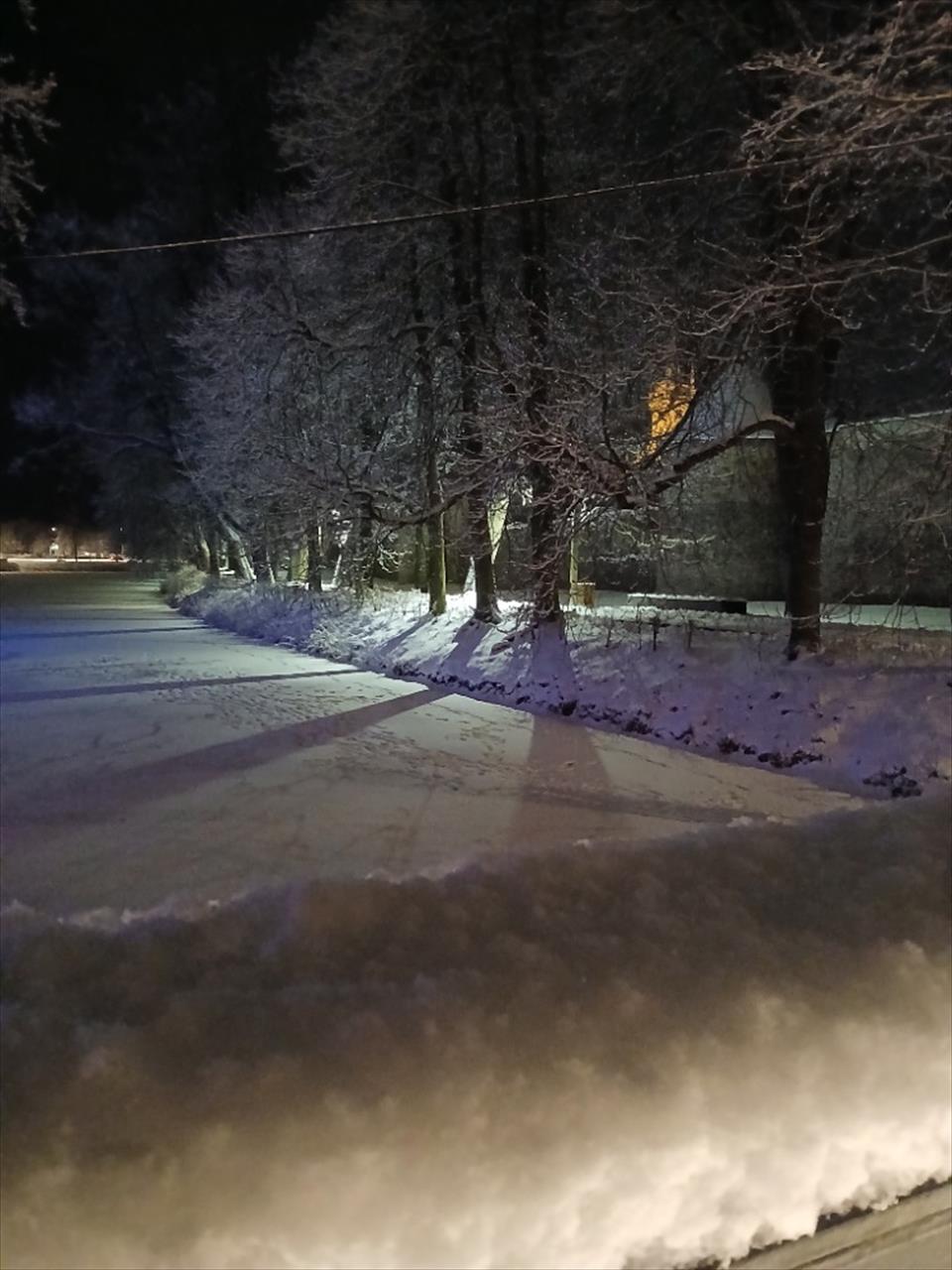 obrázek ke článku