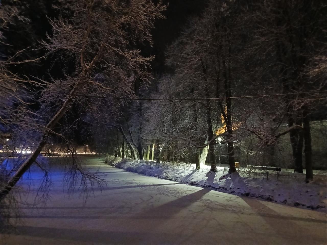 obrázek ke článku