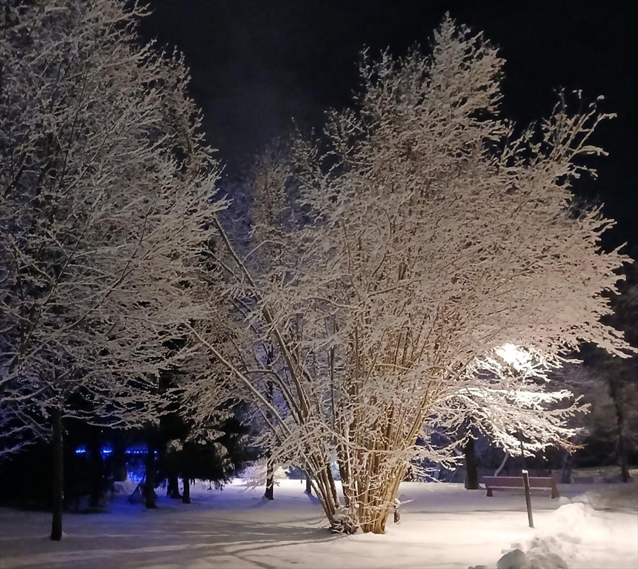 obrázek ke článku