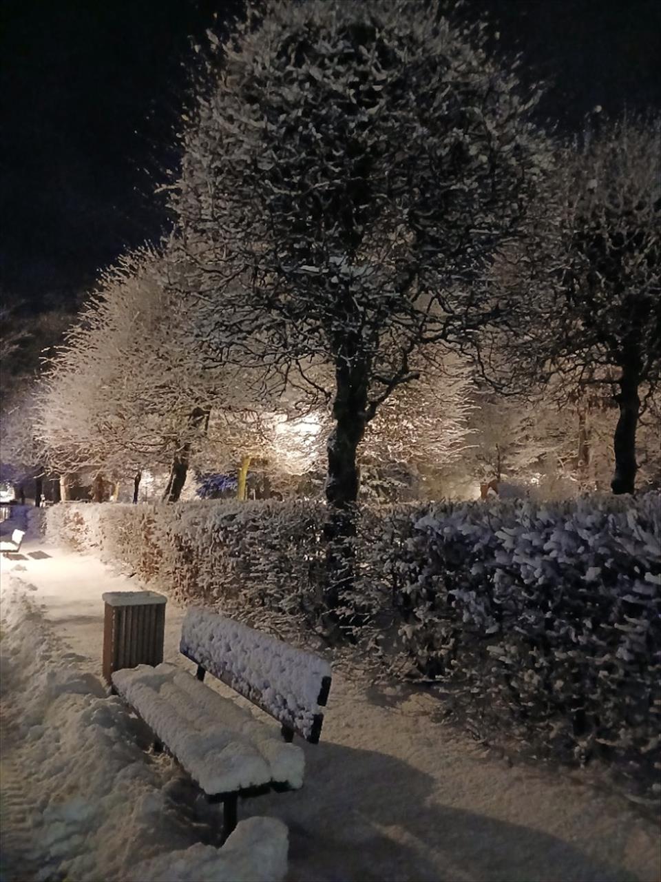 obrázek ke článku