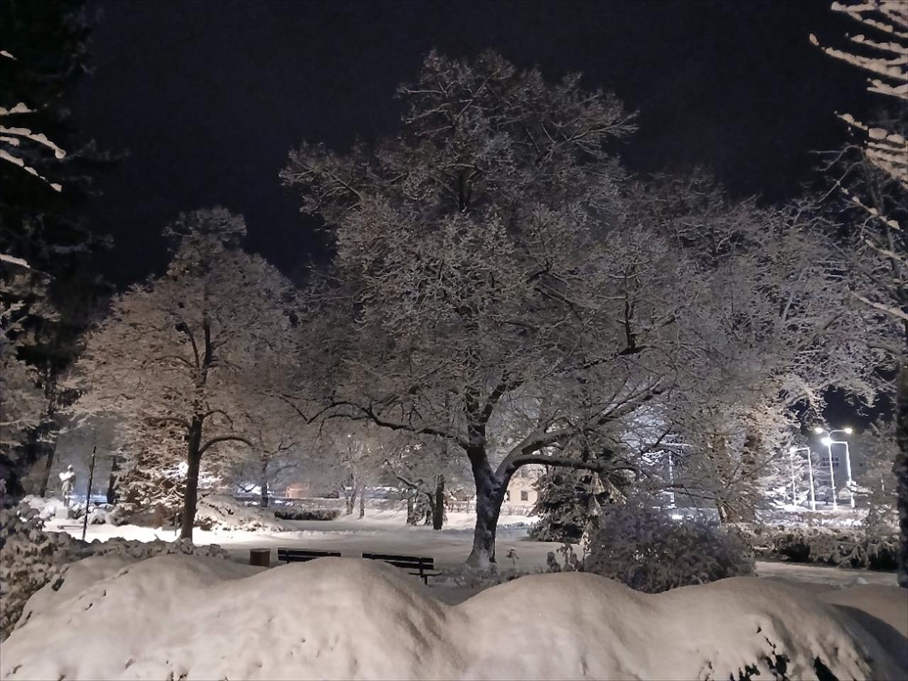 obrázek ke článku