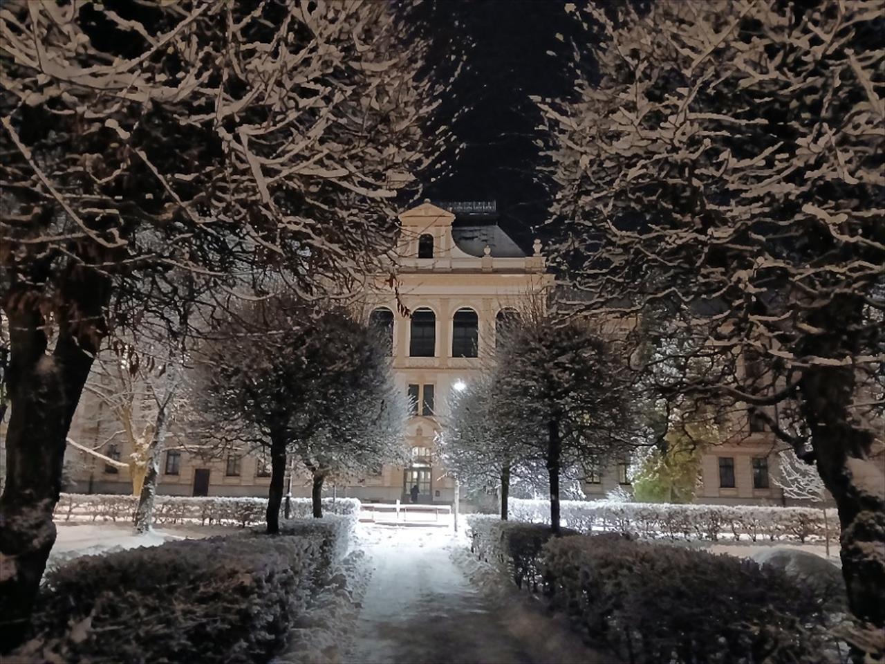 obrázek ke článku