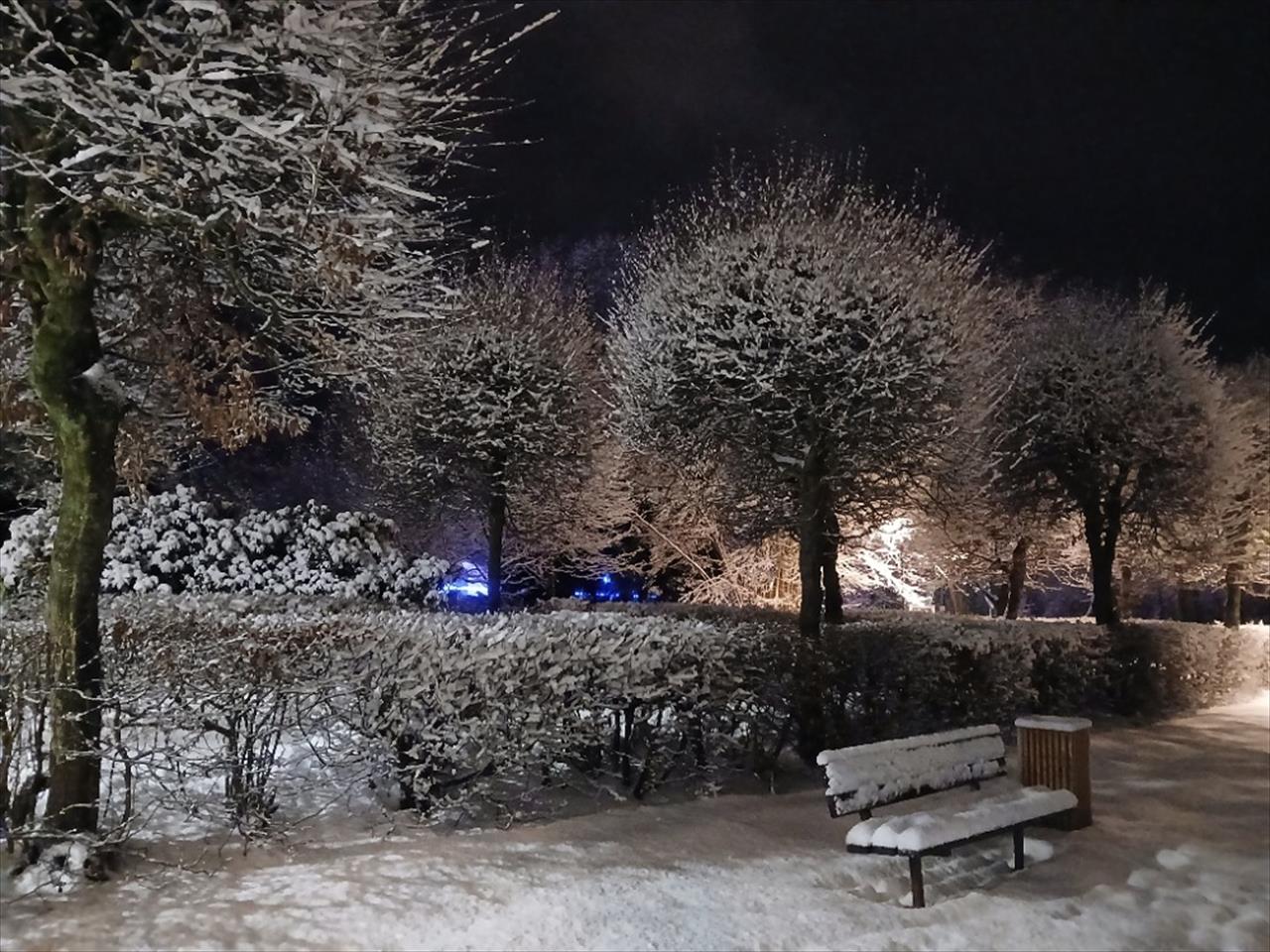 obrázek ke článku