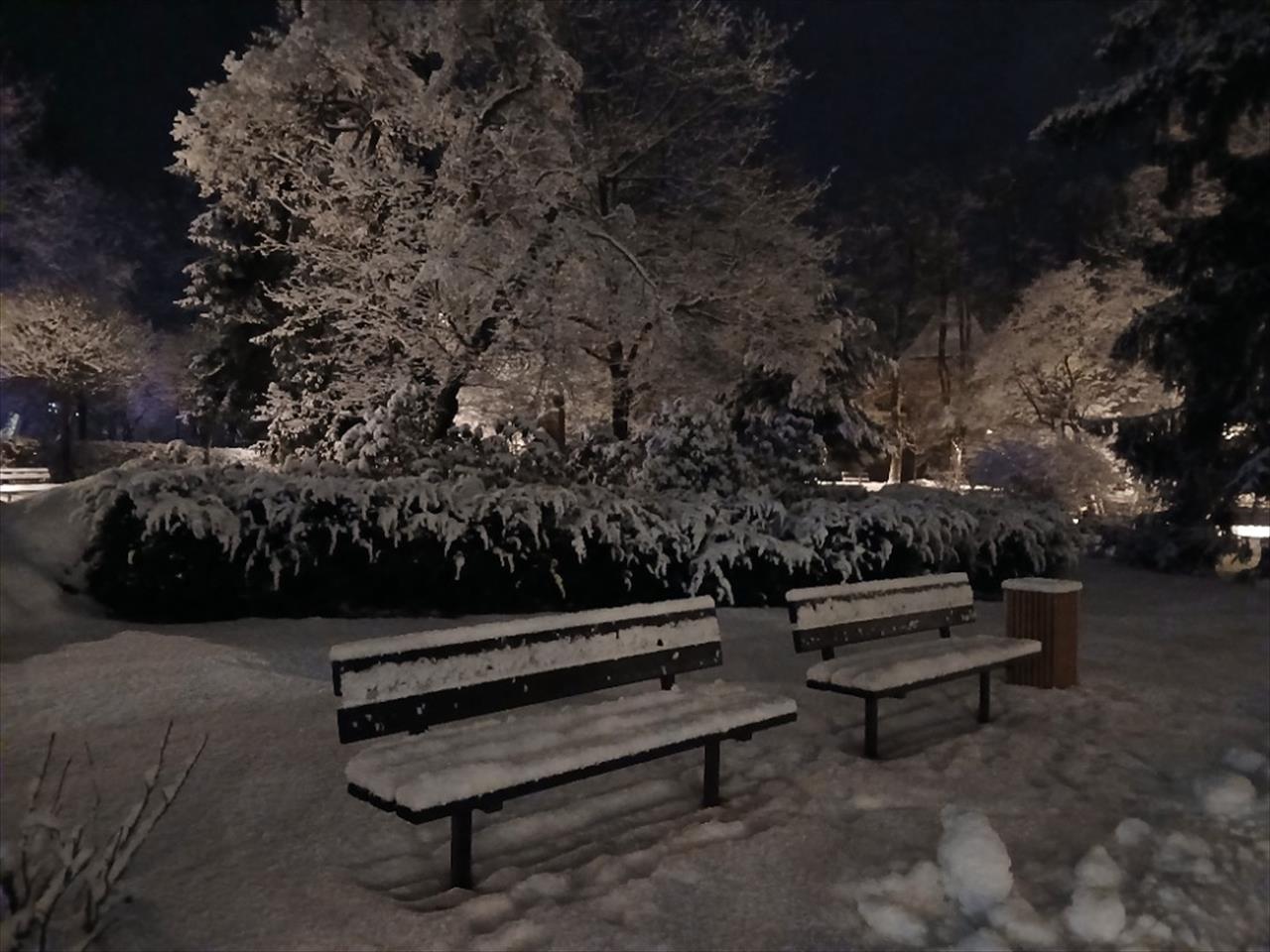 obrázek ke článku