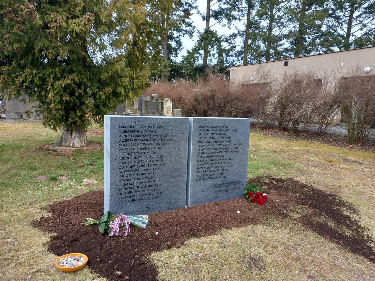 obrázek ke článku