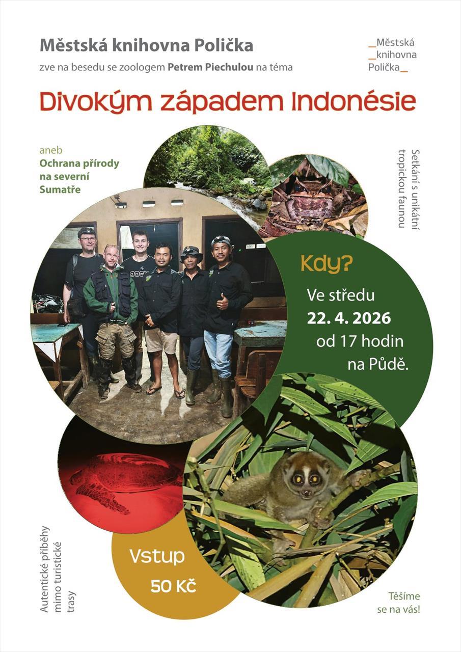 obrázek ke článku