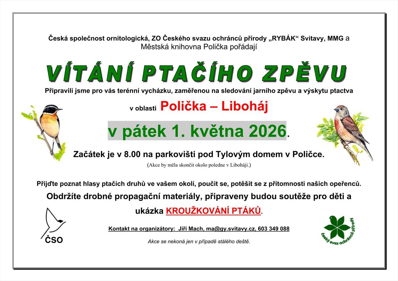 obrázek ke článku