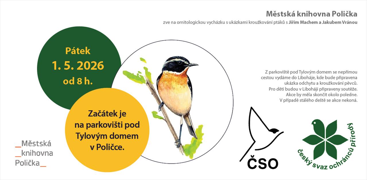 obrázek ke článku