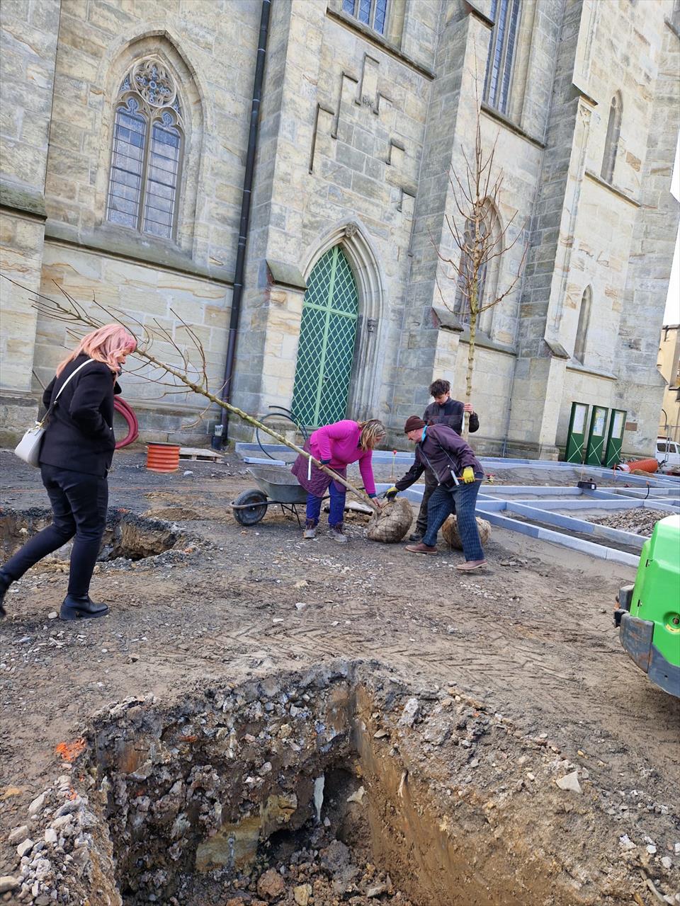 obrázek ke článku