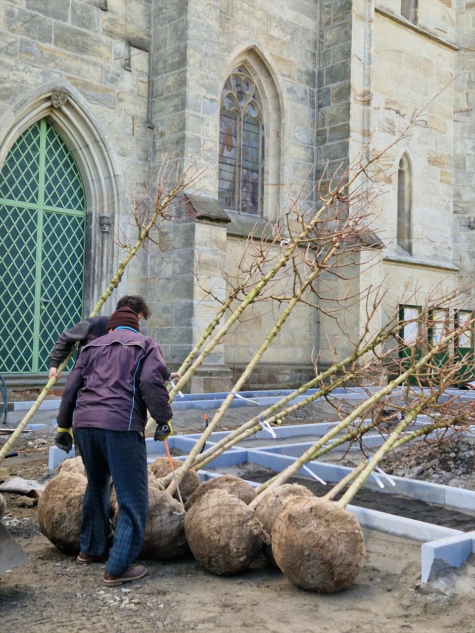 obrázek ke článku