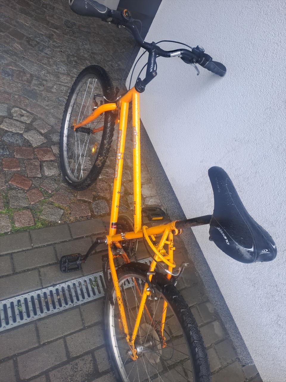 obrázek ke článku